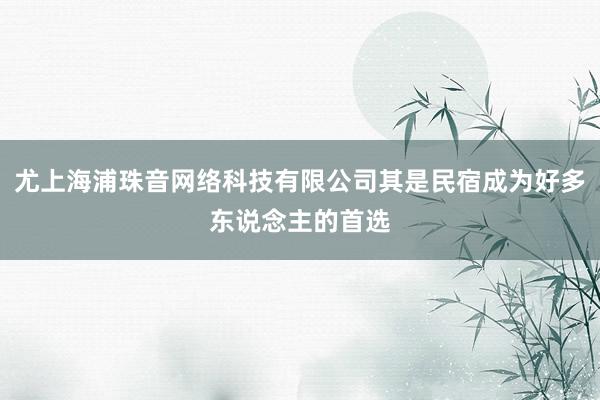 尤上海浦珠音网络科技有限公司其是民宿成为好多东说念主的首选